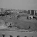 A realizzarlo, su una larga distesa di terreno dove erano situate anche due cascine di fine 800/inizio 900, fu l�azienda di vivai De Grecis
